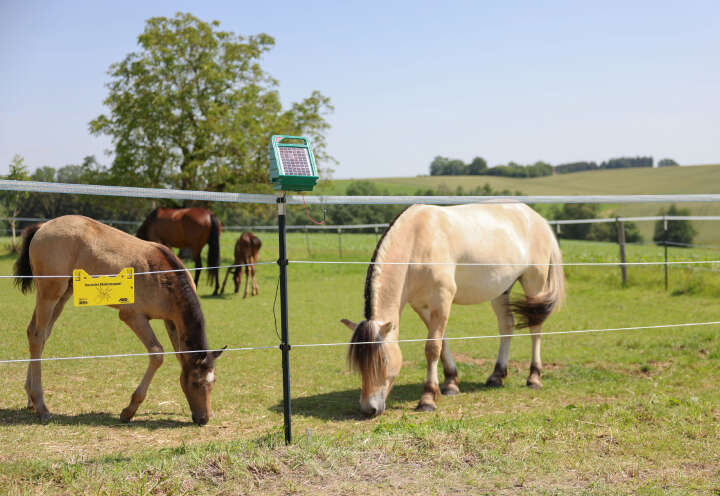 AKO Weidezaunseil PlatinumLine